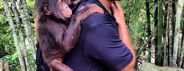 Lola Ya Bonobo is one of Lugares guardados de Kevin.