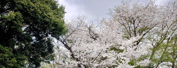 Iwatsuki Jyoshi Park is one of おでかけ.