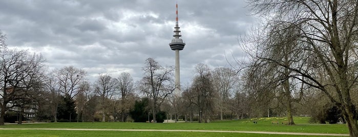 Unterer Luisenpark is one of Mannheim.