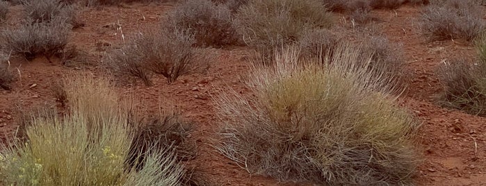 Navajo Nation is one of CanyonVibes.