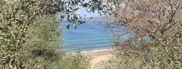 Lara Beach is one of Cypriot summers.