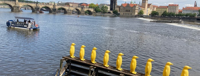 Žlutí tučňáci na Vltavě is one of Prague.