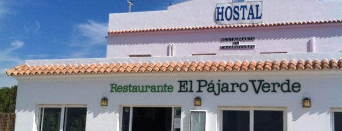 Restaurante El Pajaro Verde is one of Cadiz.