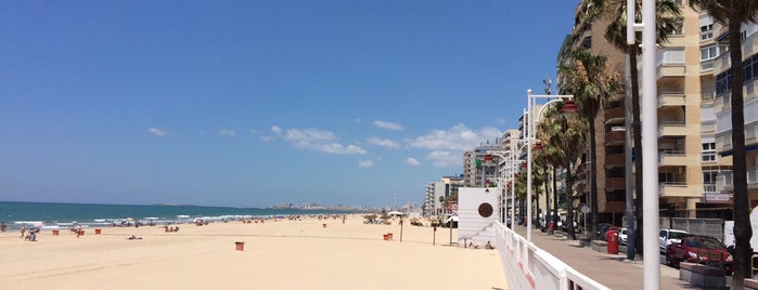 Paseo Marítimo is one of Spain - Cádiz.