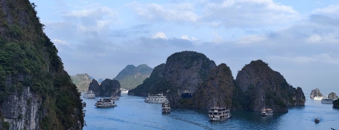 Ha Long Bay is one of Tempat yang Disukai Matthew.