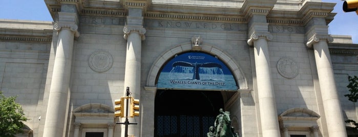 Museo Americano de Historia Natural is one of New York.