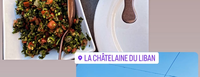 Chatelaine du Liban is one of To come back.
