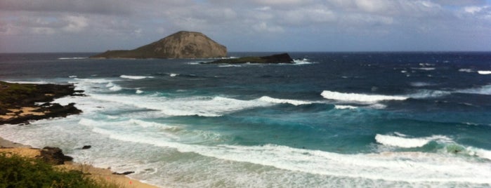 Makapu‘u Beach Park is one of Hawaii.