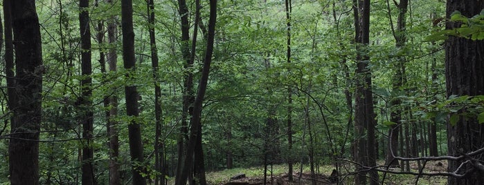 Delaware Water Gap National Recreation Area is one of Poconos Trip.