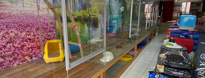 Aksu Pet Shop is one of Atesさんのお気に入りスポット.