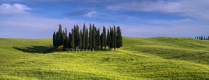 Il bosco dei cipressi is one of Tuscany.