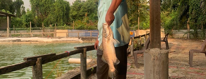 Kolam Memancing Ikan Kota Kemuning is one of b.