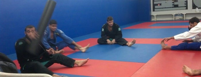 Conde Koma Brazilian Jiu-Jitsu is one of MMA Gyms.