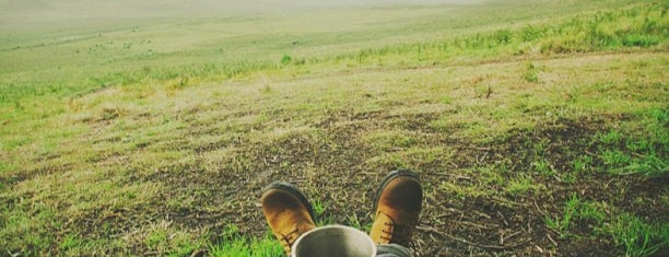 Padang Rumput Savana is one of Gunung Bromo [Indonesia].