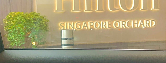 Hilton Singapore Orchard is one of Singapore Leisure.
