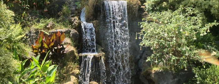 Los Angeles County Arboretum and Botanic Garden is one of Tempat yang Disimpan Ej.