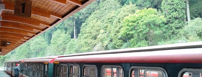 Alishan Station is one of Station.
