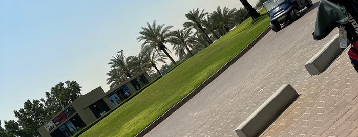 Meydan Golf Club is one of United Arab Emirates - Golf courses.