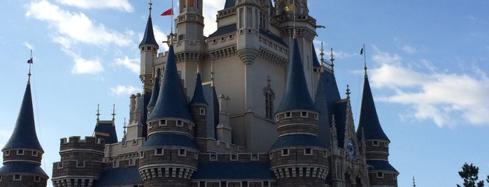 Cinderella Castle is one of สถานที่ที่ Shank ถูกใจ.