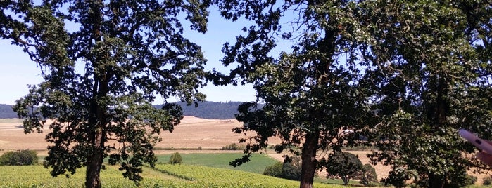 Johan Vineyards is one of Wineries in Willamette Valley.
