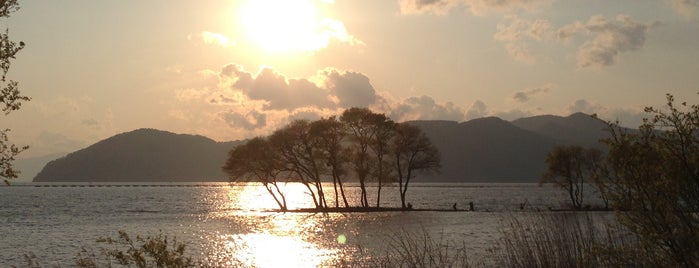 湖北野鳥センター is one of 日本の夕陽百選.