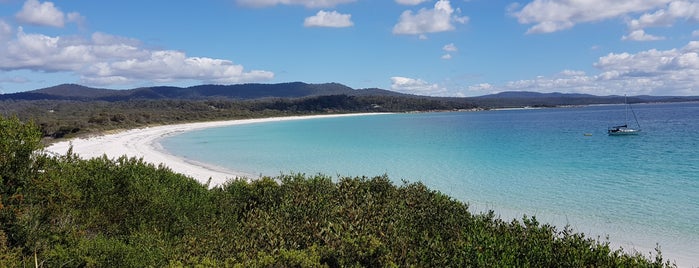 Binalong Bay is one of Dan's Saved Places.