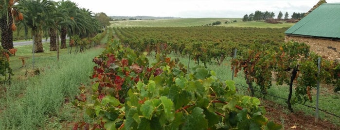 Barossa Valley Wine Region is one of Best of Adelaide.
