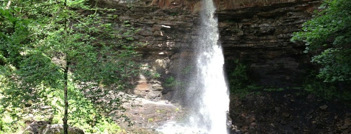 Hardraw Force Falls is one of Carlさんのお気に入りスポット.
