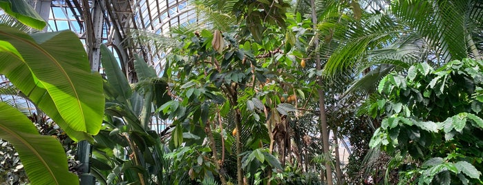 Lincoln Park Conservatory is one of Chicago.