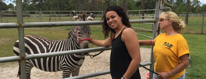 Exotic Animal Experience is one of Lugares favoritos de Jesse.