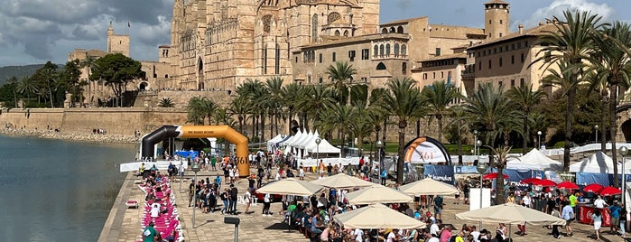 Marathon De PALMA is one of Majorca, Spain.