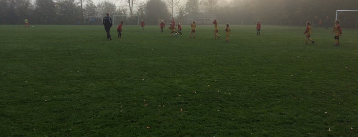 Sportpark De Warren is one of Voetbalvelden Friesland.