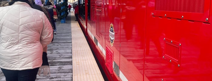 Pikes Peak Cog Railway is one of Trains.