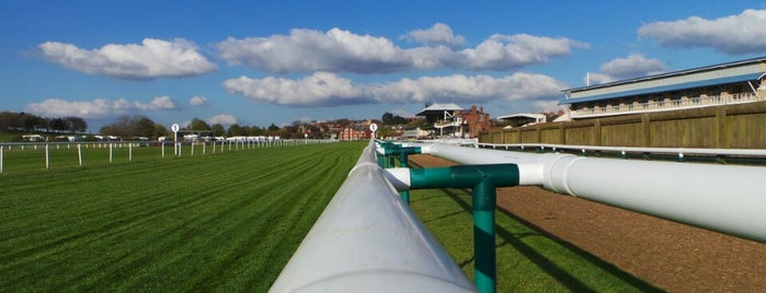 Warwick Racecourse is one of Horse Racecourses of UK.