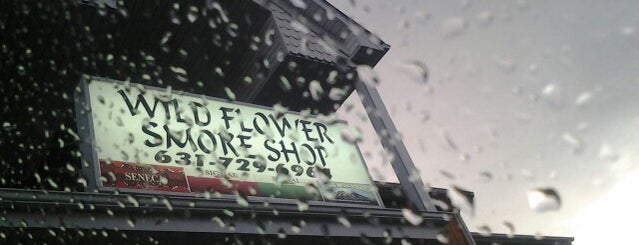 Wild Flower Smoke Shop is one of Frequents.