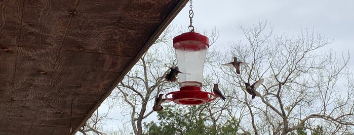 Abilene State Park is one of Texas Parks.