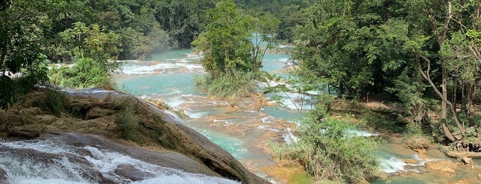 Cascadas De Agua Azul is one of Turismo Chiapas.