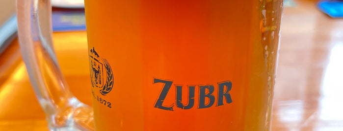 Zubr Ceska Hospoda Czech Beer Culture is one of Hanoi Nightlife.