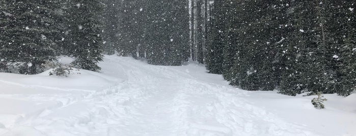 Pacific Crest Trail is one of Cali.