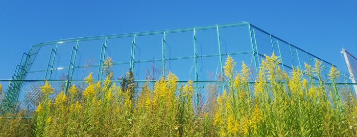 東北大学サッカー場 is one of University.