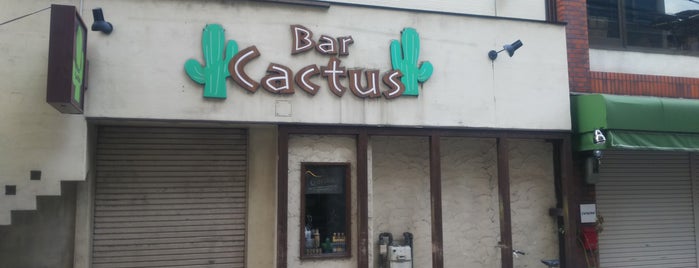 Bar Cactus is one of 行ってみたい地方のBAR.