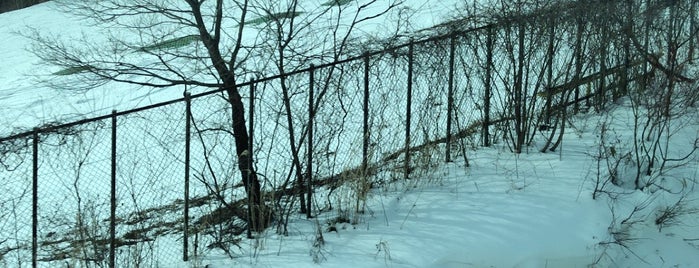 St.MARY みやぎ蔵王 セントメリースキー場 is one of 東北のスキー場.