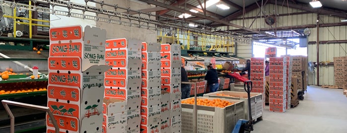 California Fruit Depot is one of Points list.