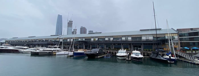 Jones Bay Wharf is one of Sydney cbd.