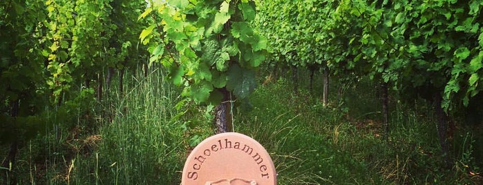 Schoenenbourg Grand Cru is one of Lieux qui ont plu à John.