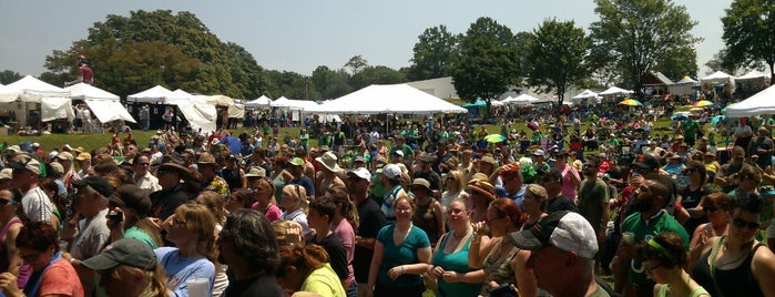 Annapolis Irish Festival is one of สถานที่ที่บันทึกไว้ของ George.