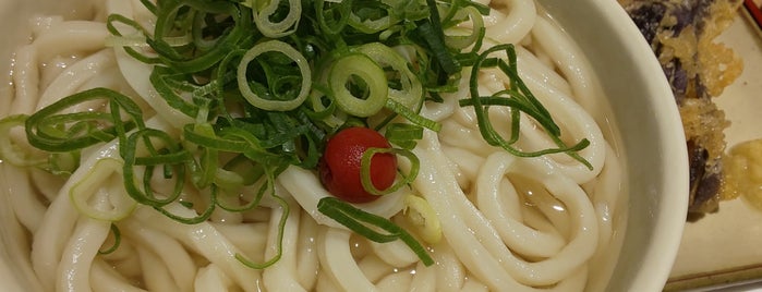 本場讃岐うどん たも屋 is one of I ate ever Ramen & Noodles.