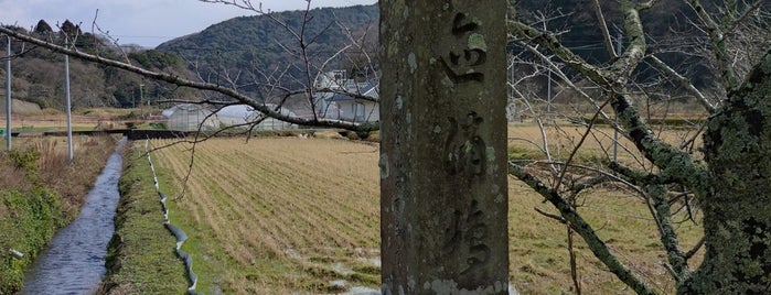 浦嶋神社 is one of 東方元ネタ.