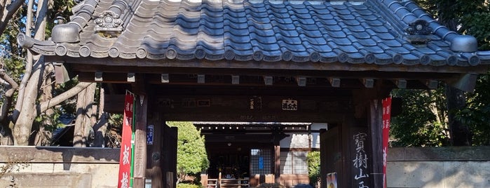 宝樹山盛徳院 西光寺 is one of 舎得.