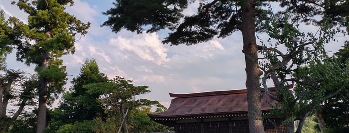 Amatsu shrine/Nunagawa Shrine is one of 訪問済みの城2.